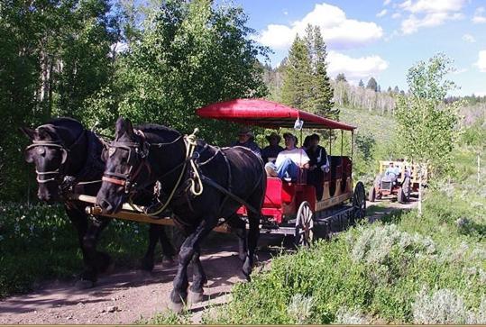 Parade Rest Ranch 웨스트 엘로스톤 외부 사진