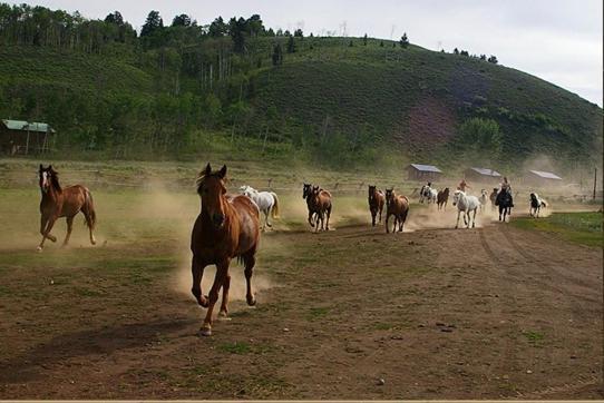Parade Rest Ranch 웨스트 엘로스톤 외부 사진
